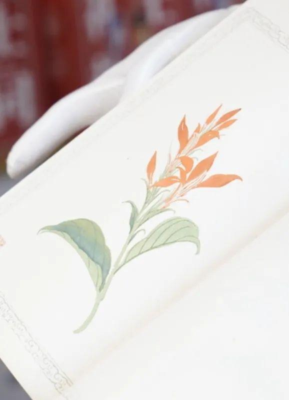 舊書新知傳習館 東城文藝品牌空間與當代文藝創作的薪火相傳